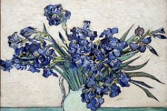 16 Irises - Vincent van Gogh 1890 - New York Metropolitan Museum of Art.jpg